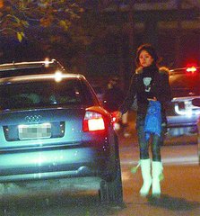 玉驄慣識西湖路，驕嘶過、沽酒壚前。