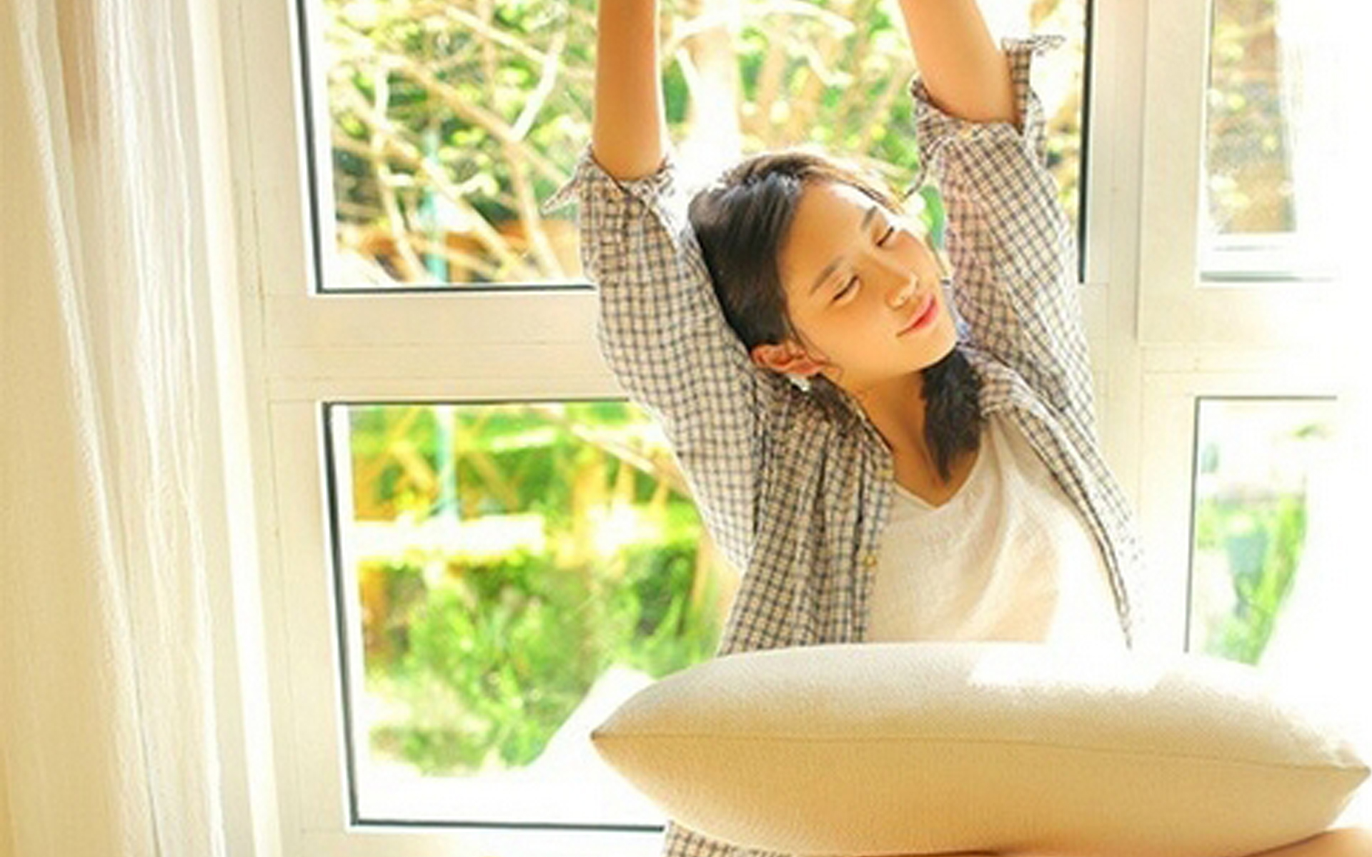石膏991-991493555