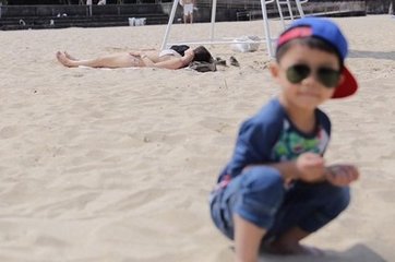 當時只記入山深，青溪幾度到云林。